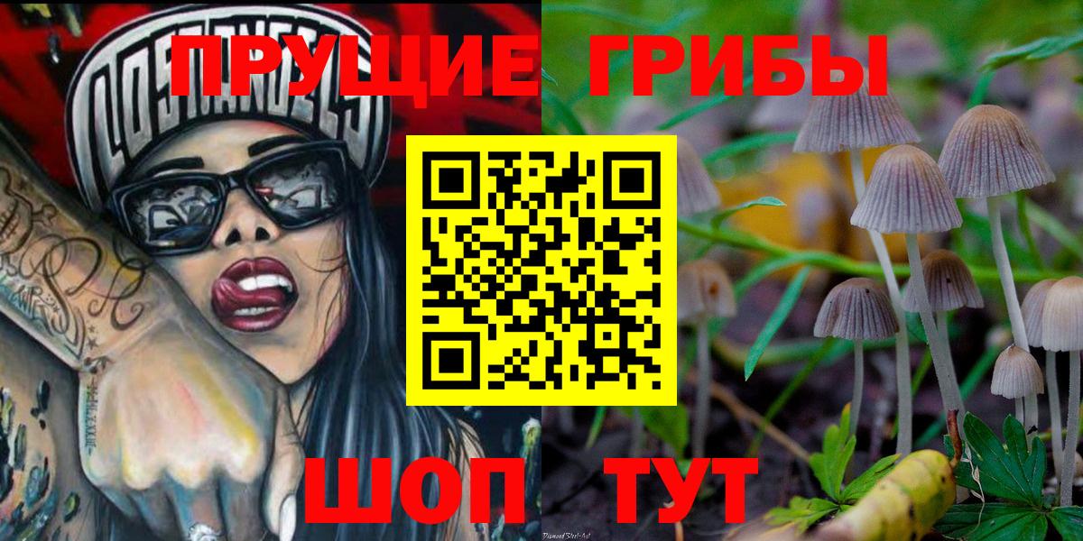 Галлюциногенные грибы Magic Shrooms  Вход с VPN  Псилоцибиновые грибы Psilocybe  Тобольск 